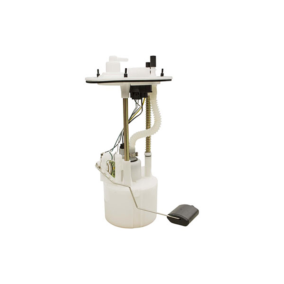 image1